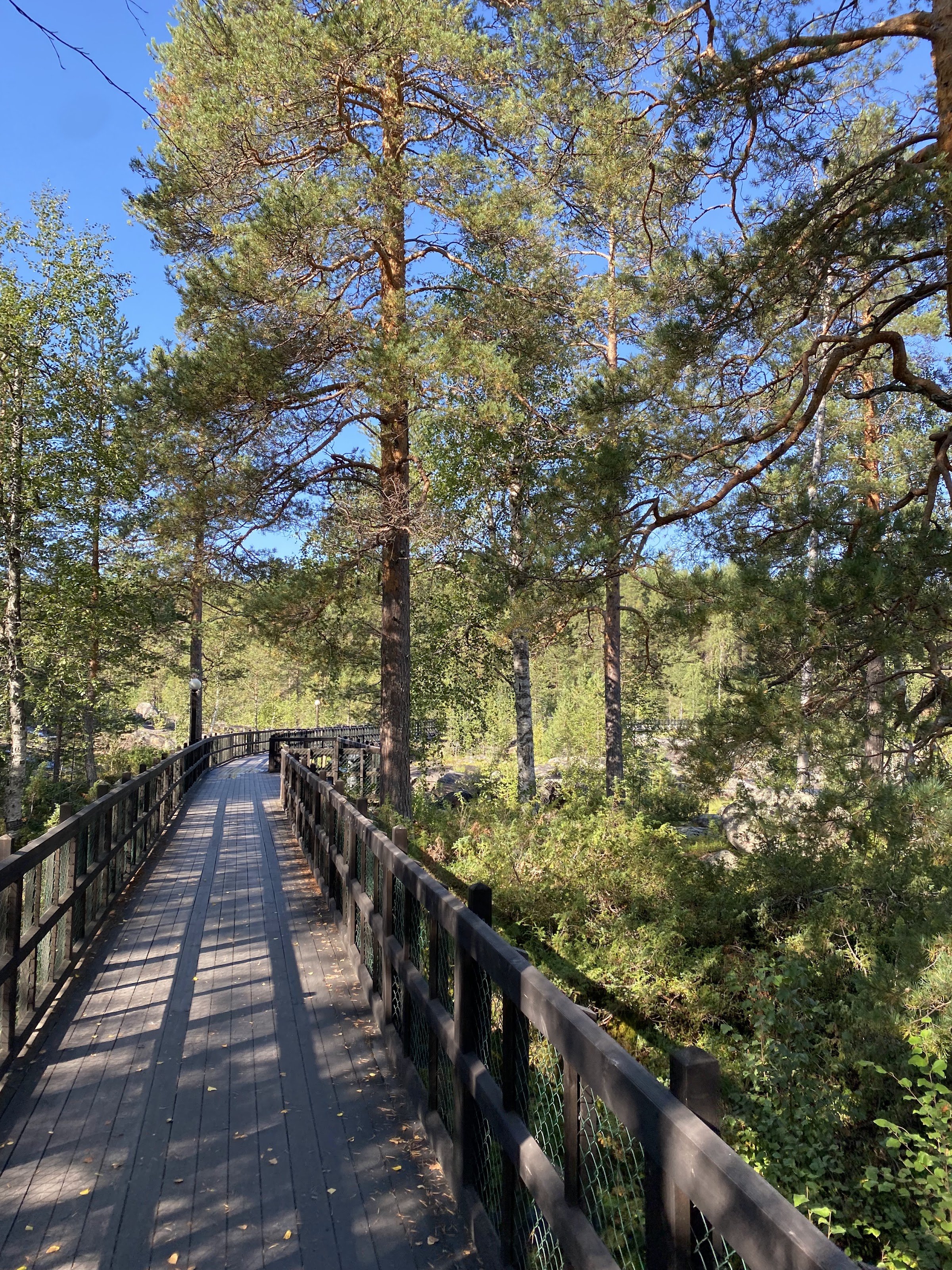Utsiktsplats Storforsens Naturreservat (Storforsen viewpoint)